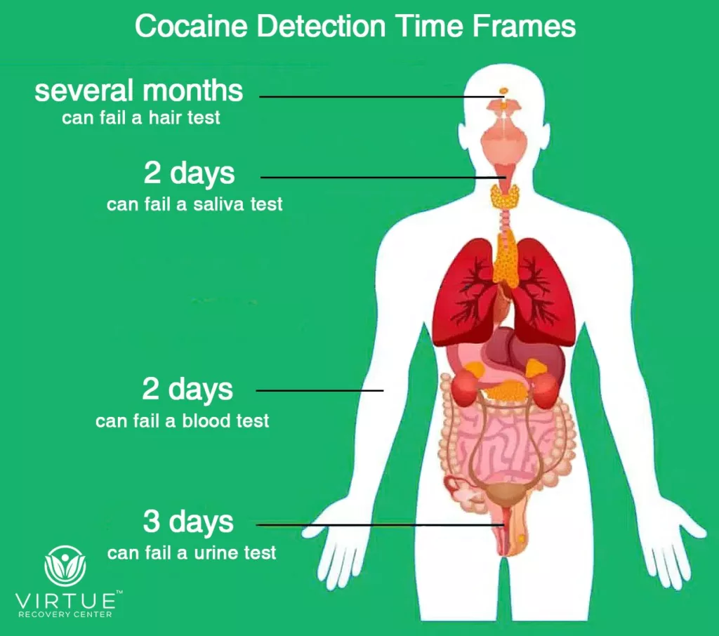  How long does cocaine stay in your system | VirtueRecovery